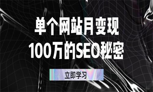 源码.jpg 单个网站月变现100万的SEO秘密：如何百分百做出赚钱站点 b10445  第1张